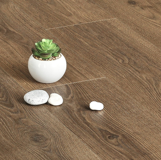 Дуб Тихий вечер