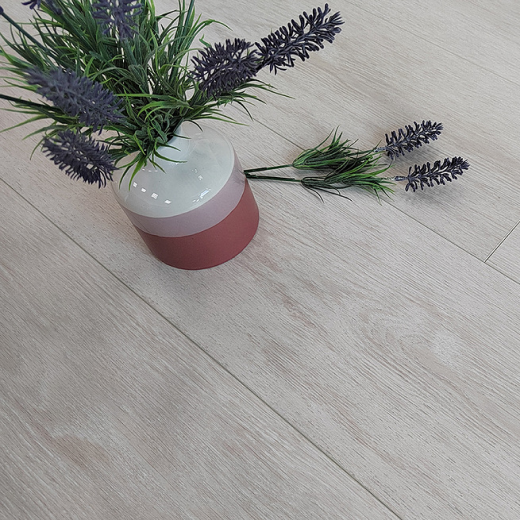 Дуб Кремовый