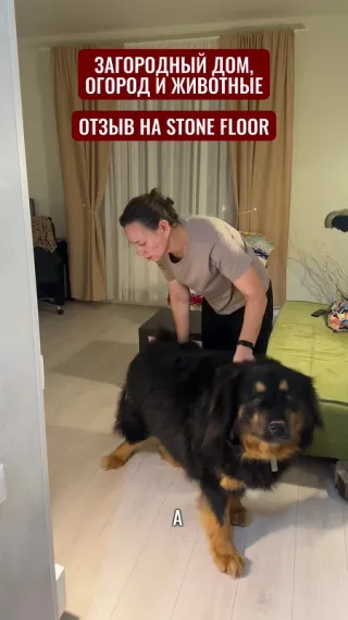 Пол, который не пугают грязь и когти — фото 1